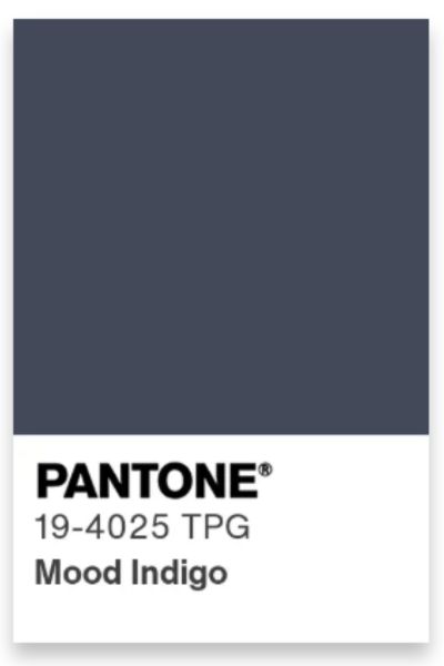 Couleur PANTONE® 19-4025 TPG Mood Indigo