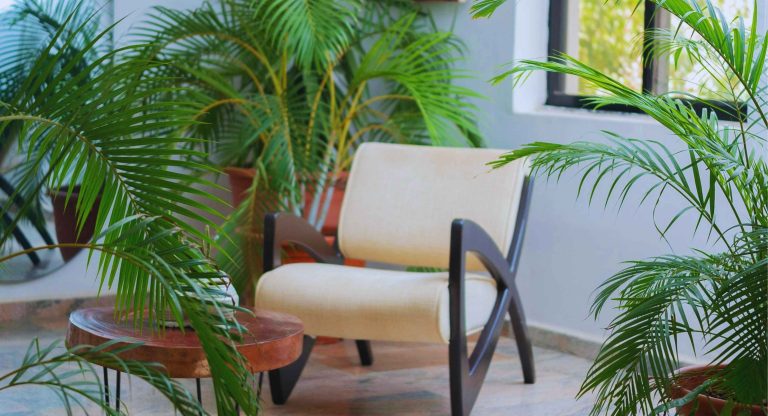 Interieur moderne avec plantes tropicales ambiance jungle urbaine biophilie