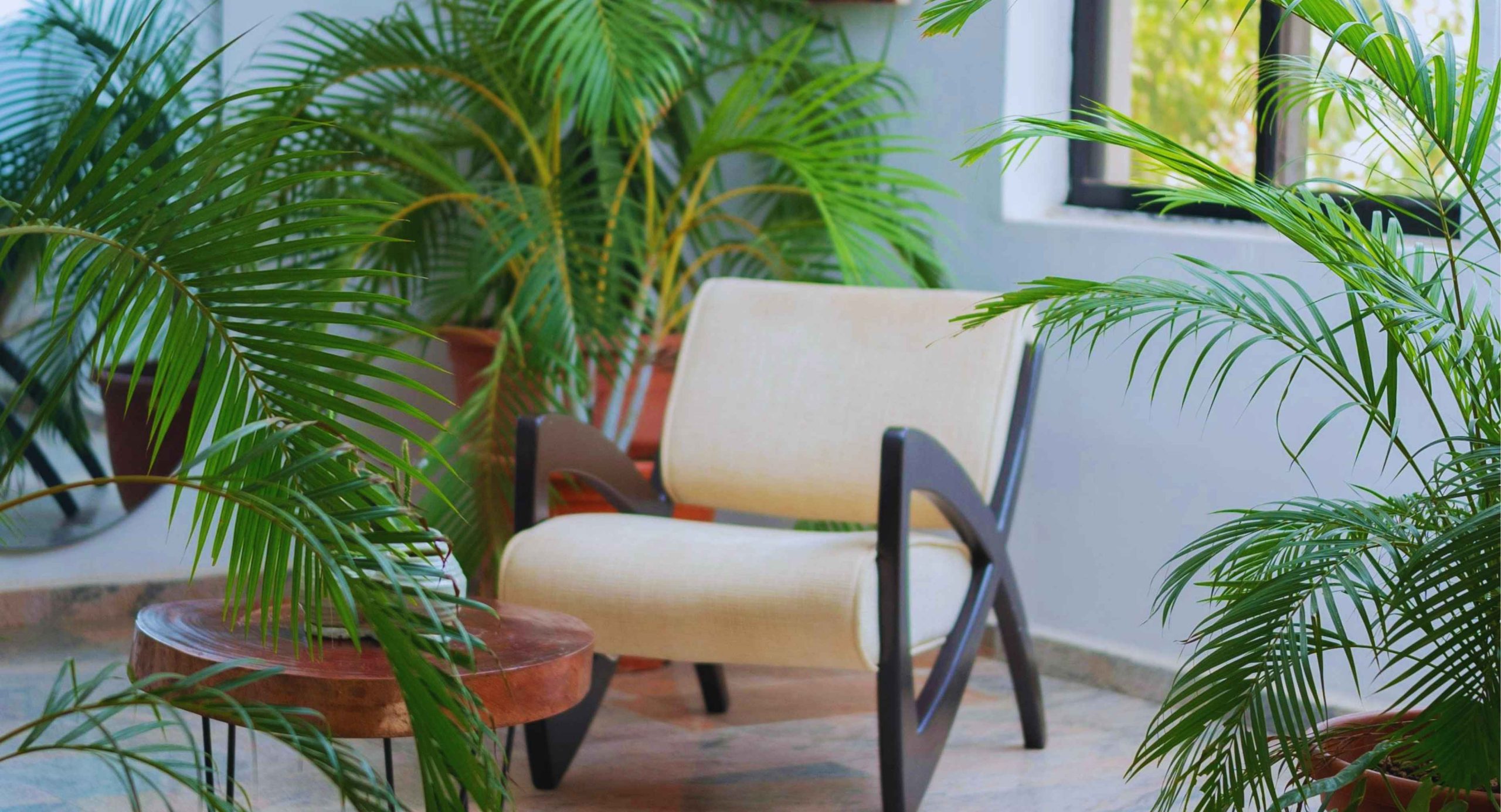 Interieur moderne avec plantes tropicales ambiance jungle urbaine biophilie