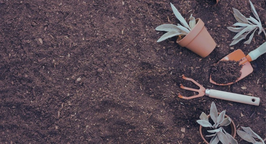 Outils de jardinage et pots de plantes posés sur de la terre
