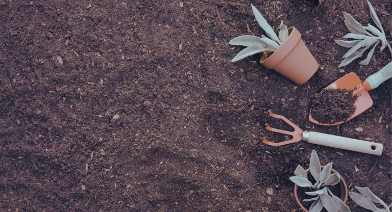 Outils de jardinage et pots de plantes posés sur de la terre