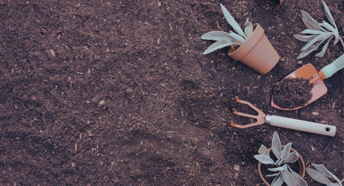 Outils de jardinage et pots de plantes posés sur de la terre