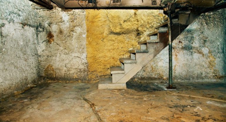 Interieur de cave en pierre a amenager