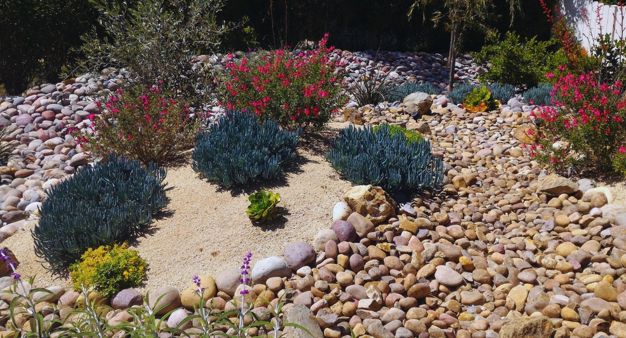 Jardin paysager avec lit de galets et amenagement decoratif