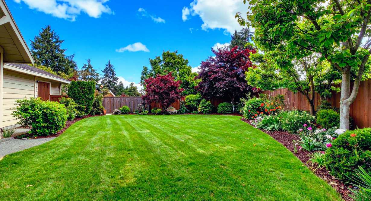 Jardin paysager amenage avec pelouse verte et massifs de fleurs