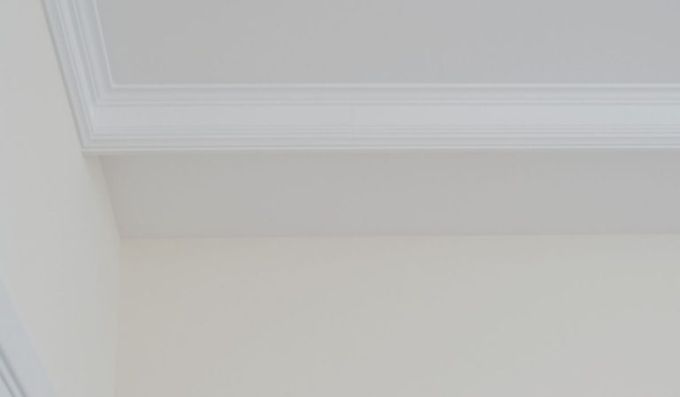 Zoome su rune moulure au plafond