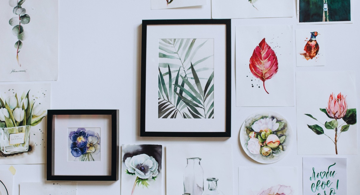 Mur blanc habille de cadres noirs et d'illustrations botaniques variees