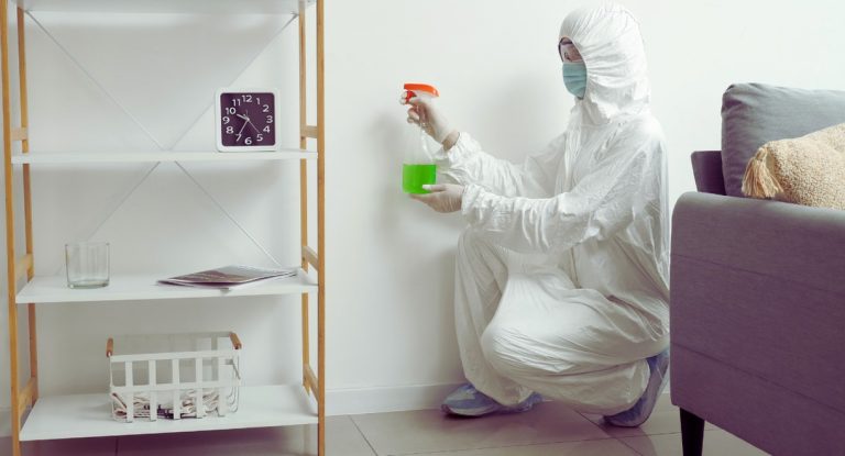 Professionnel en combinaison de protection traitant un mur contre la moisissure