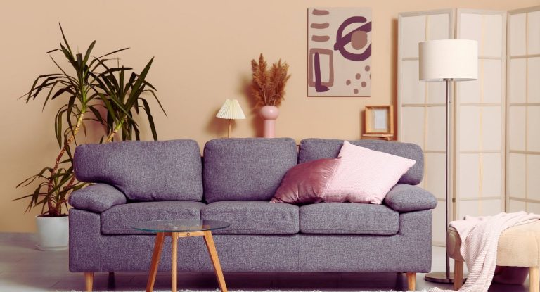 Canapé gris devant un mur beige avec coussins et plante verte